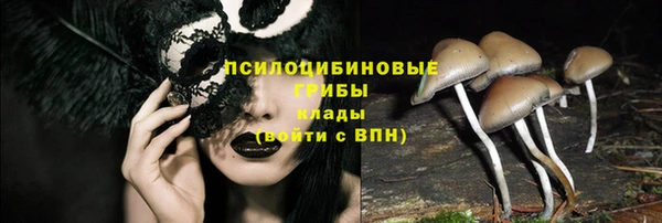 молекула духа Алзамай